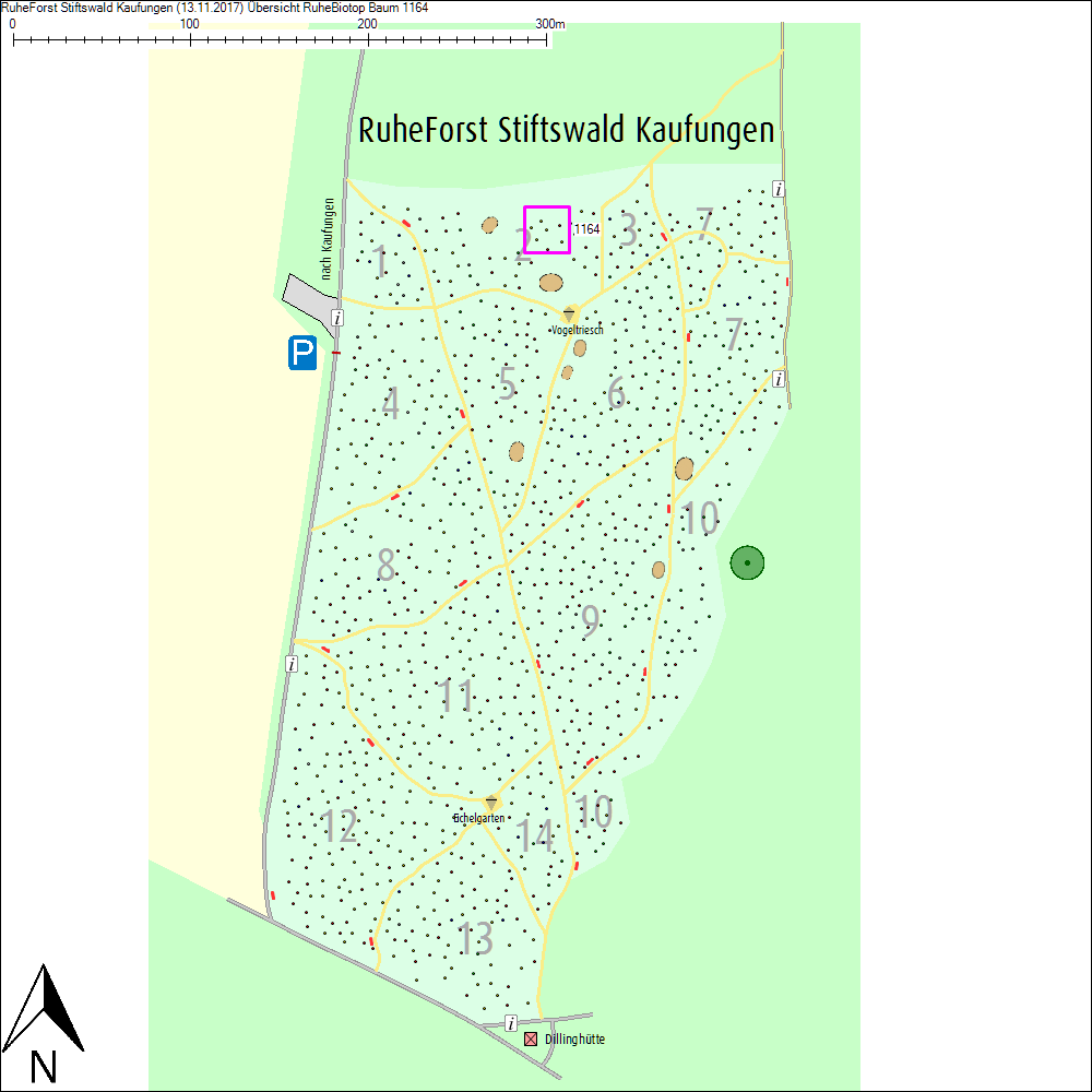 &Uuml;bersichtskarte zu Baum 1164