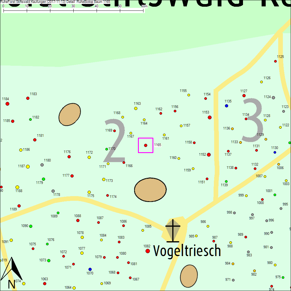 Detailkarte zu Baum 1165