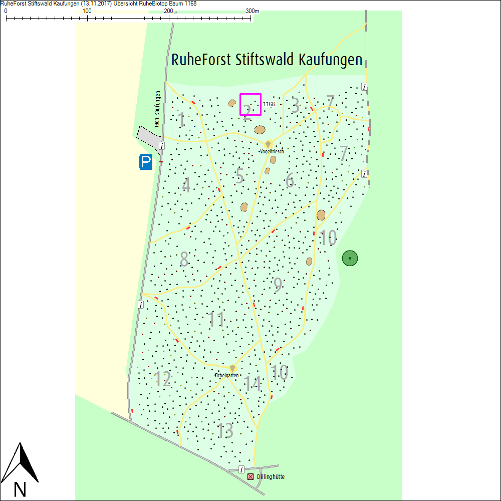&Uuml;bersichtskarte zu Baum 1168