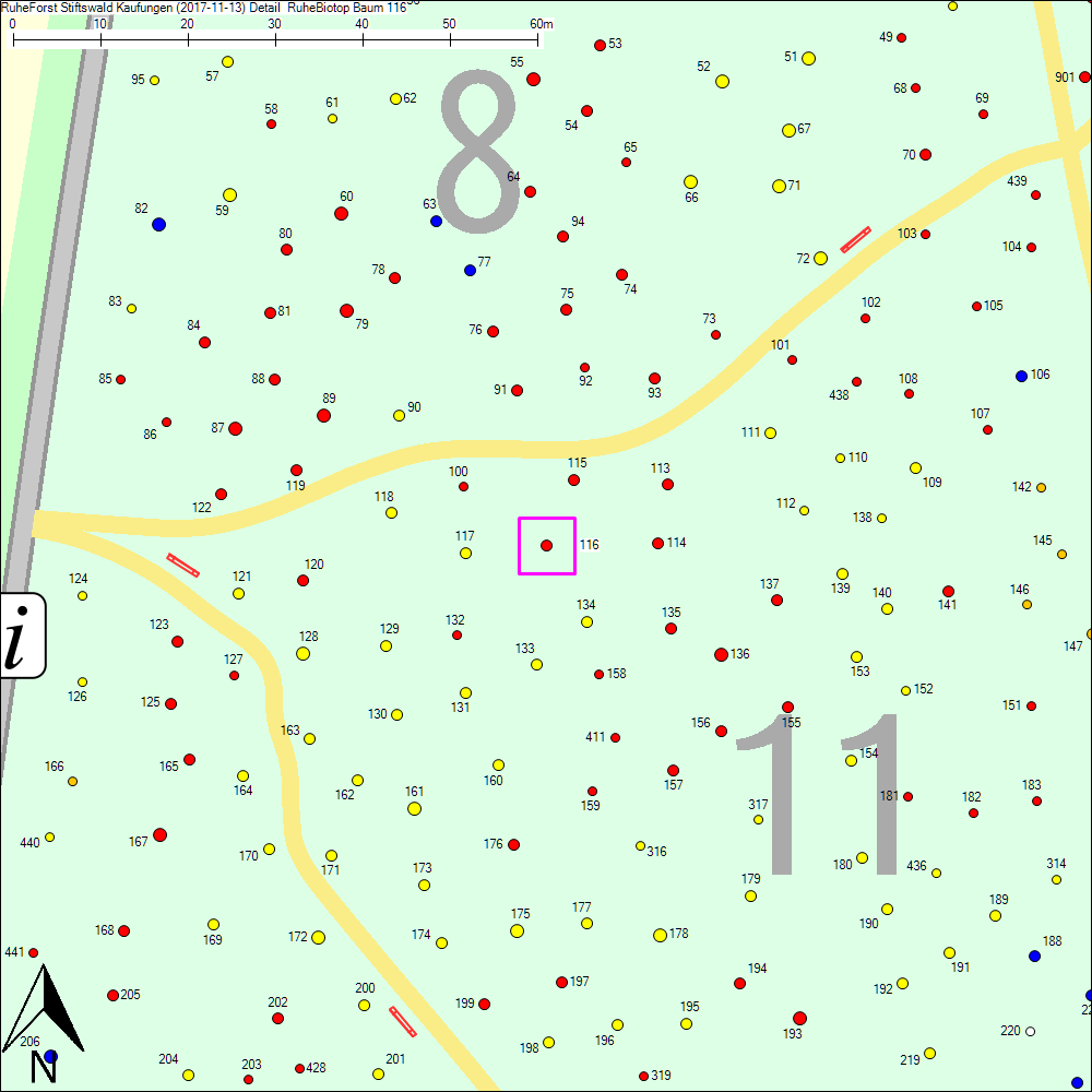 Detailkarte zu Baum 116