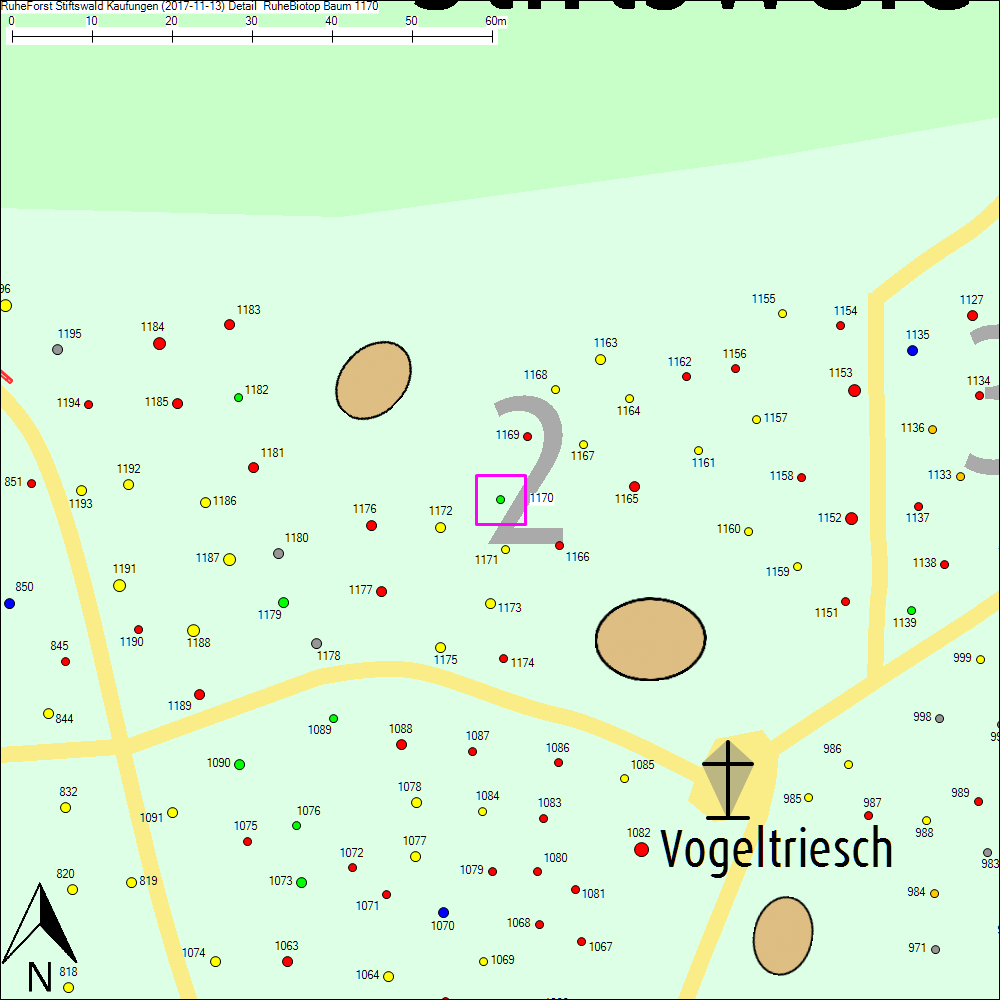 Detailkarte zu Baum 1170