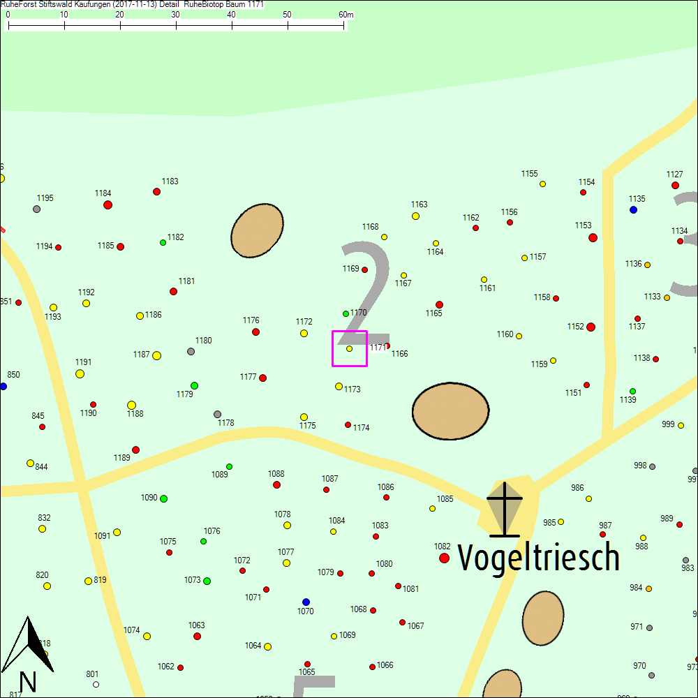 Detailkarte zu Baum 1171