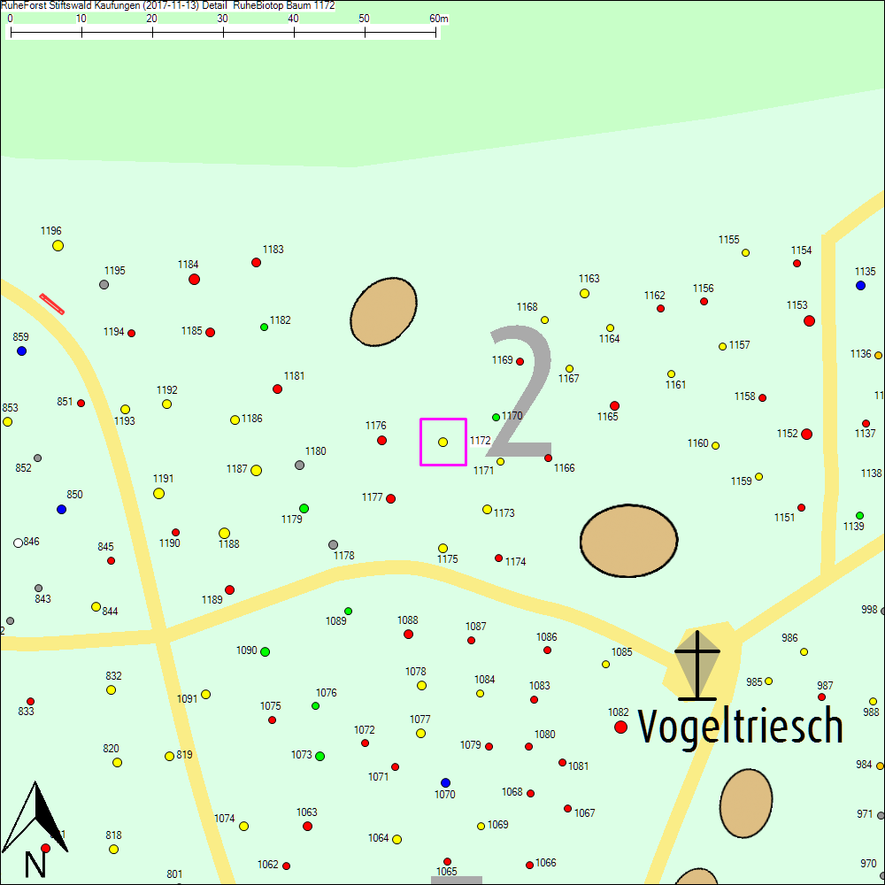 Detailkarte zu Baum 1172