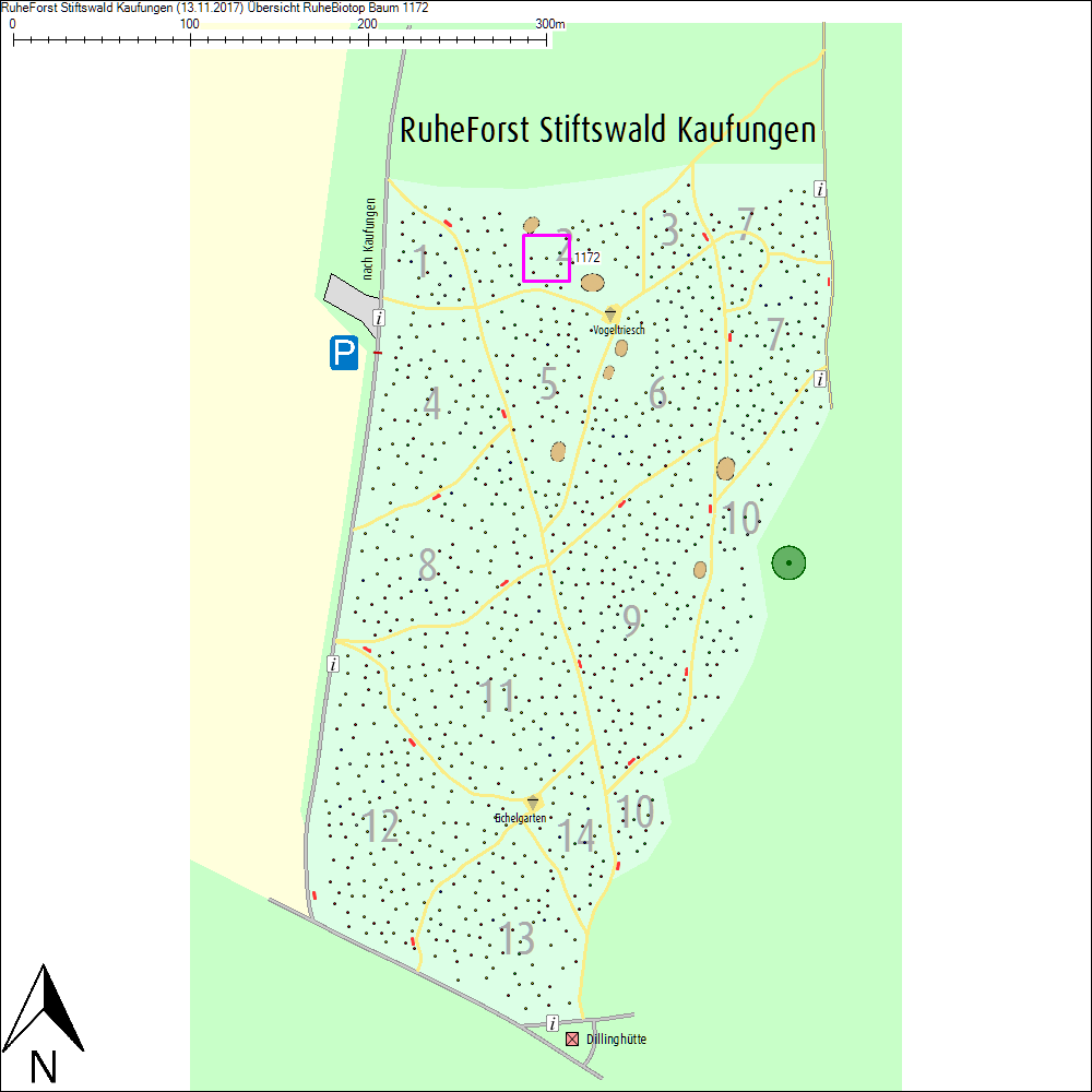 &Uuml;bersichtskarte zu Baum 1172