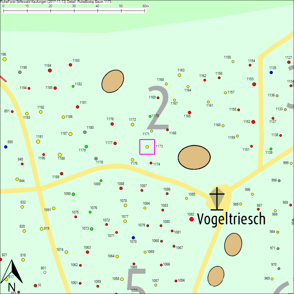 Detailkarte zu Baum 1173