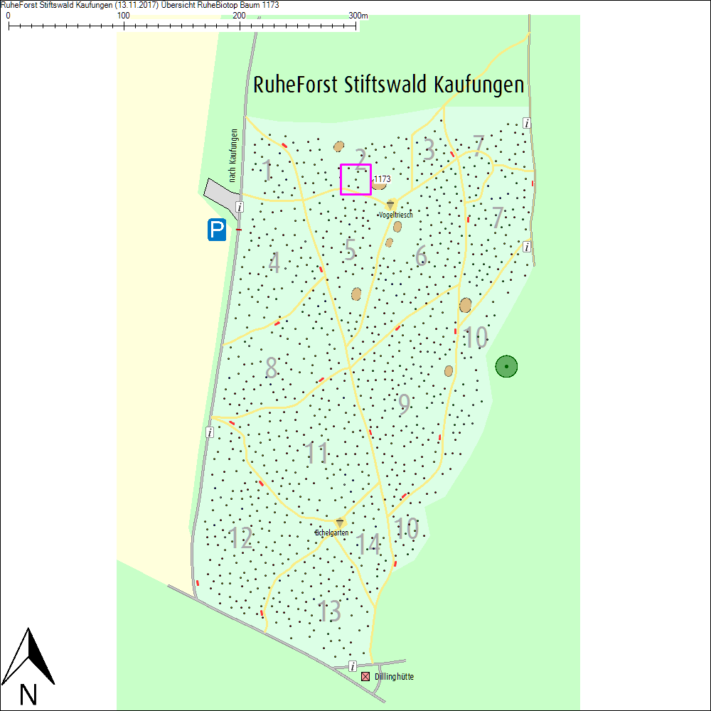 &Uuml;bersichtskarte zu Baum 1173