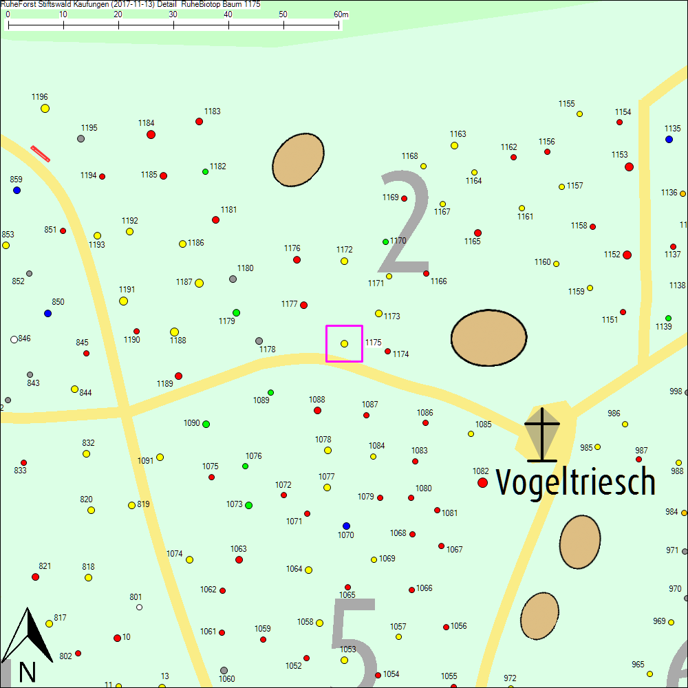 Detailkarte zu Baum 1175