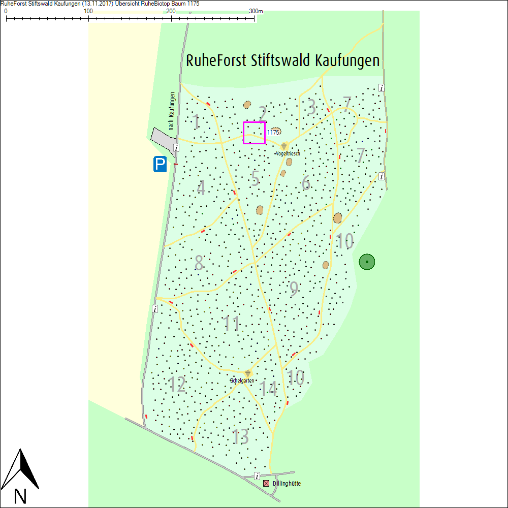 &Uuml;bersichtskarte zu Baum 1175