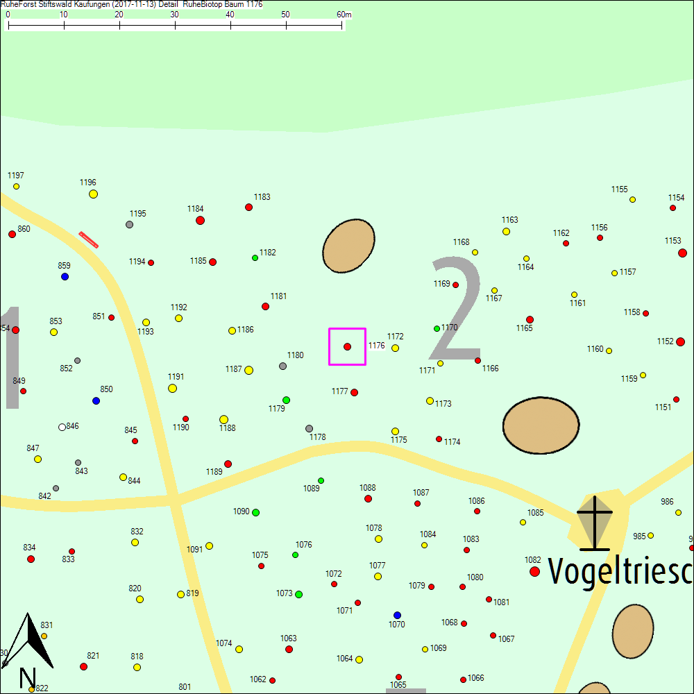 Detailkarte zu Baum 1176
