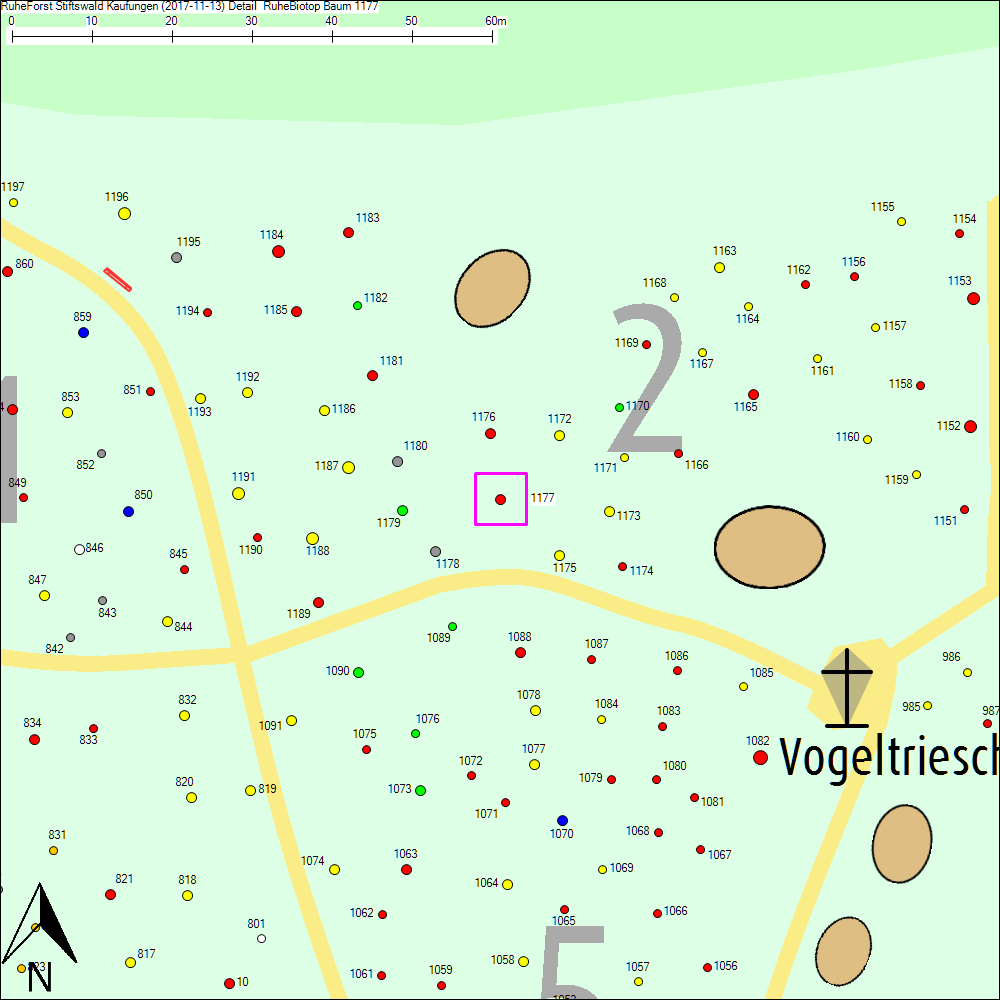 Detailkarte zu Baum 1177