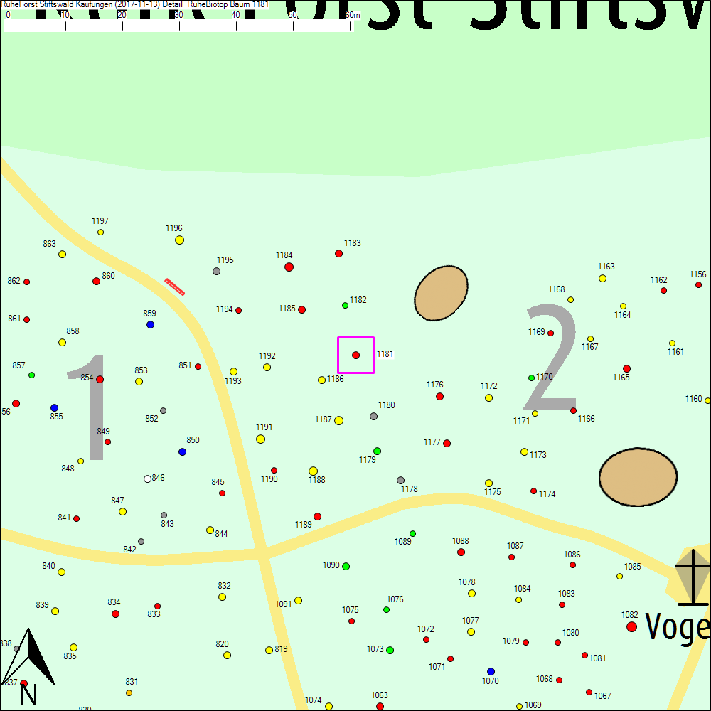 Detailkarte zu Baum 1181