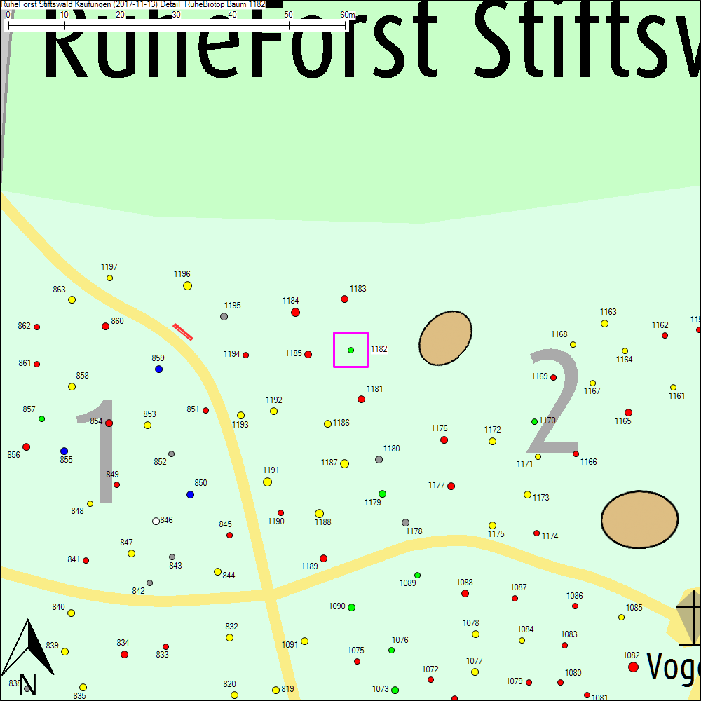 Detailkarte zu Baum 1182