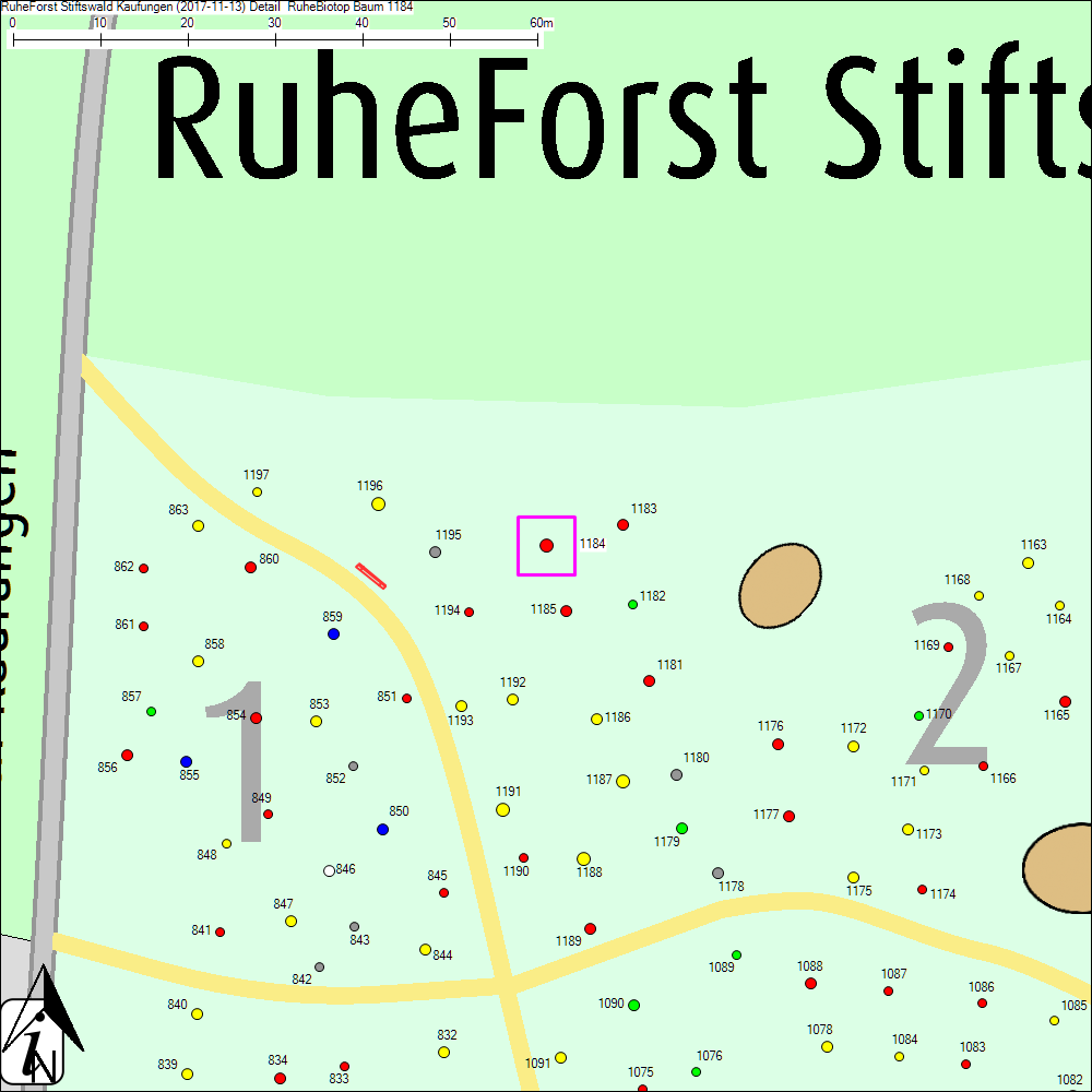 Detailkarte zu Baum 1184