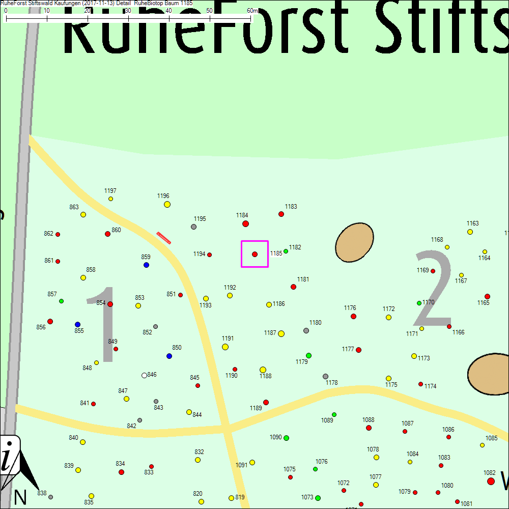 Detailkarte zu Baum 1185