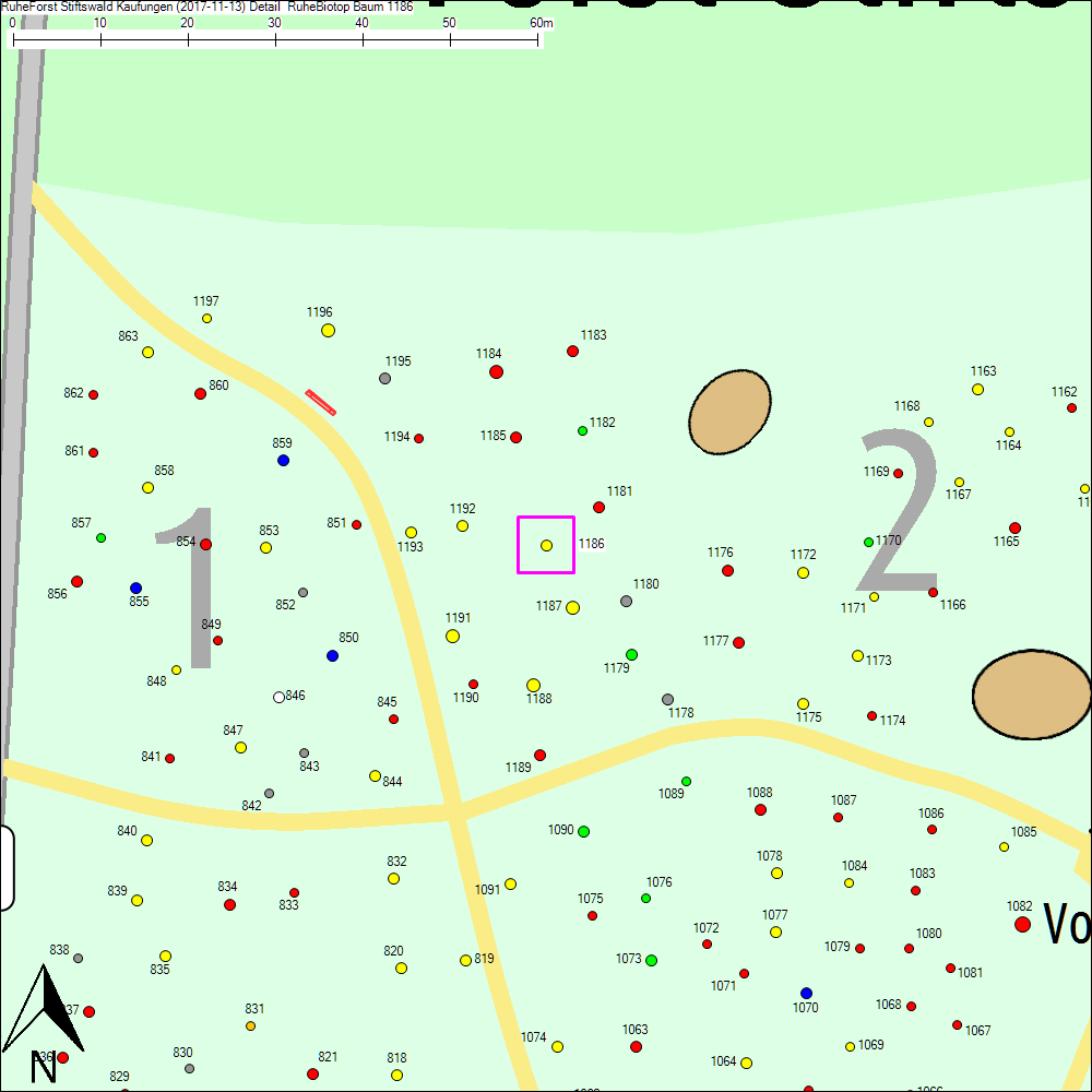 Detailkarte zu Baum 1186