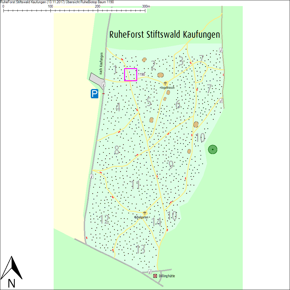 &Uuml;bersichtskarte zu Baum 1190