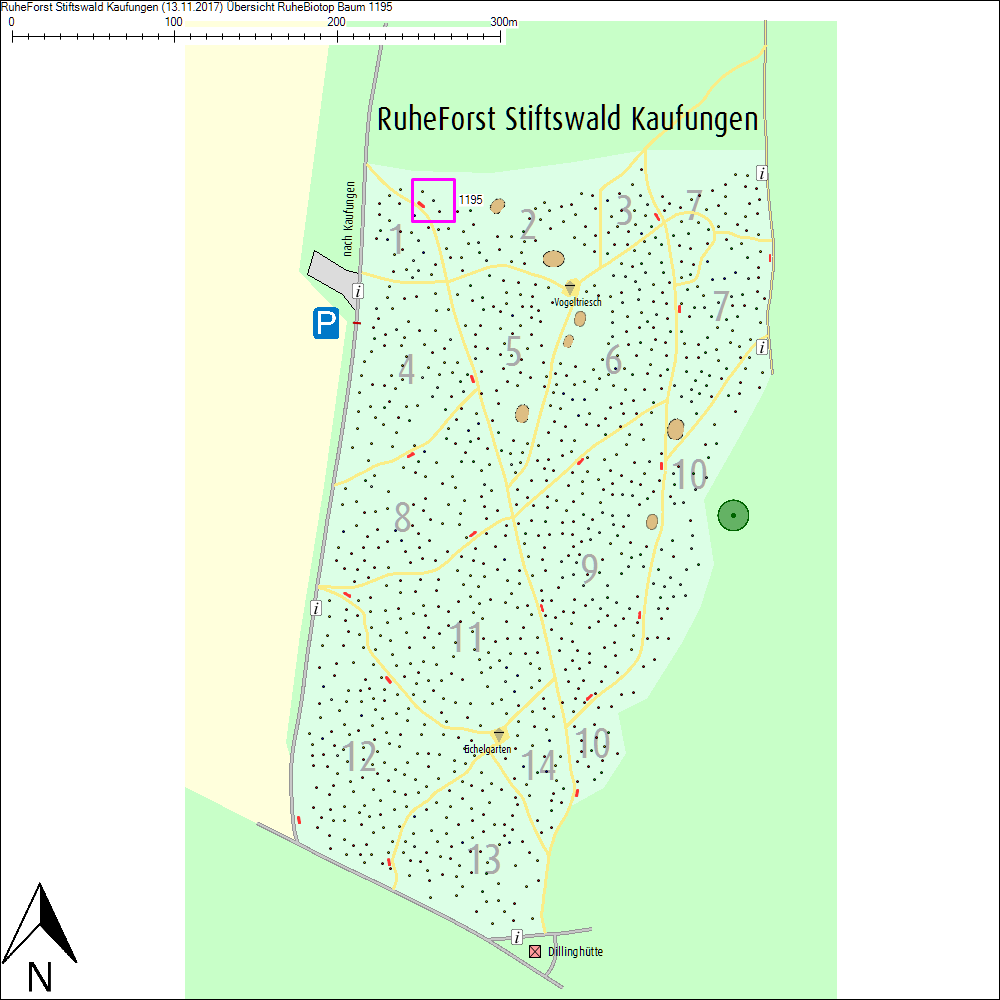&Uuml;bersichtskarte zu Baum 1195
