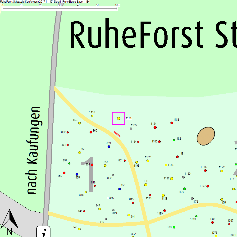 Detailkarte zu Baum 1196