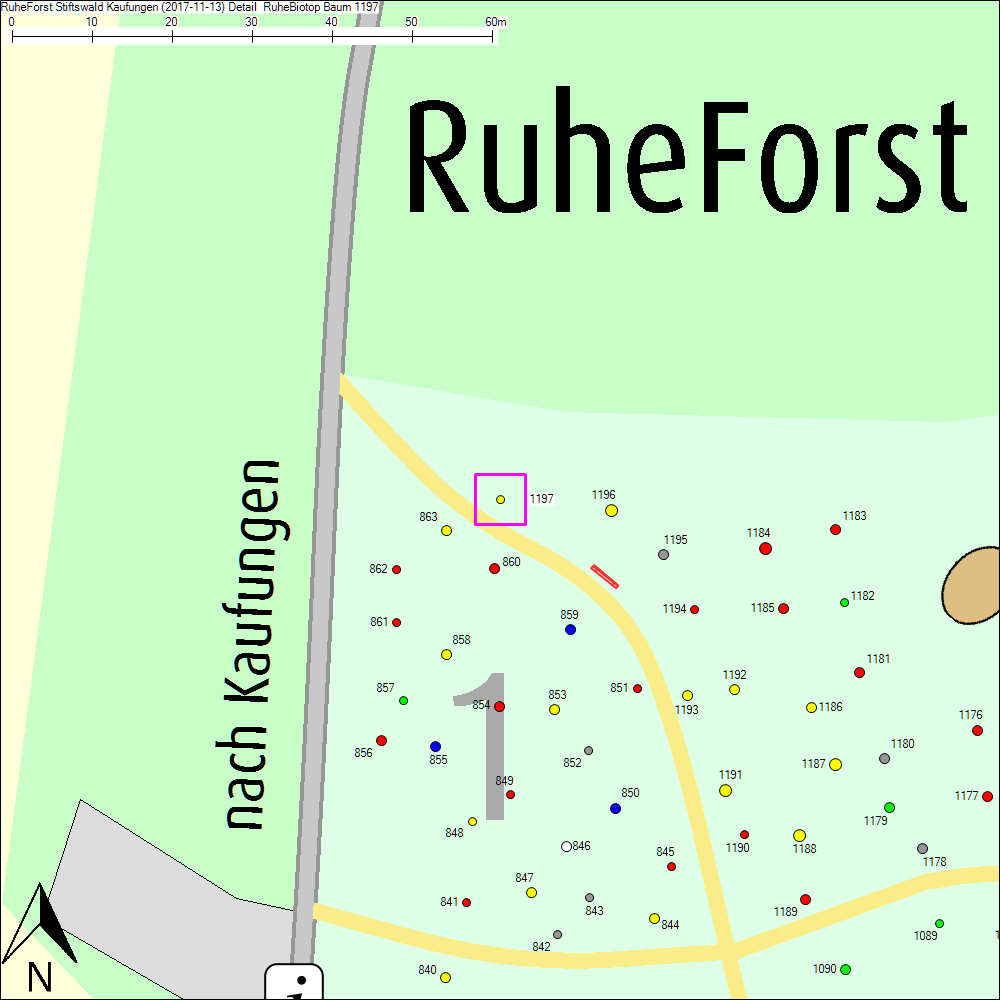 Detailkarte zu Baum 1197