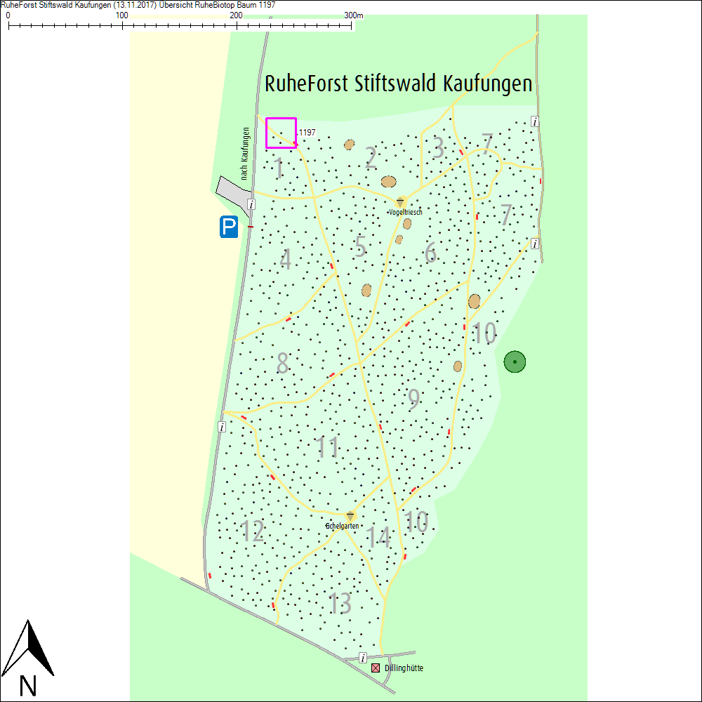 &Uuml;bersichtskarte zu Baum 1197