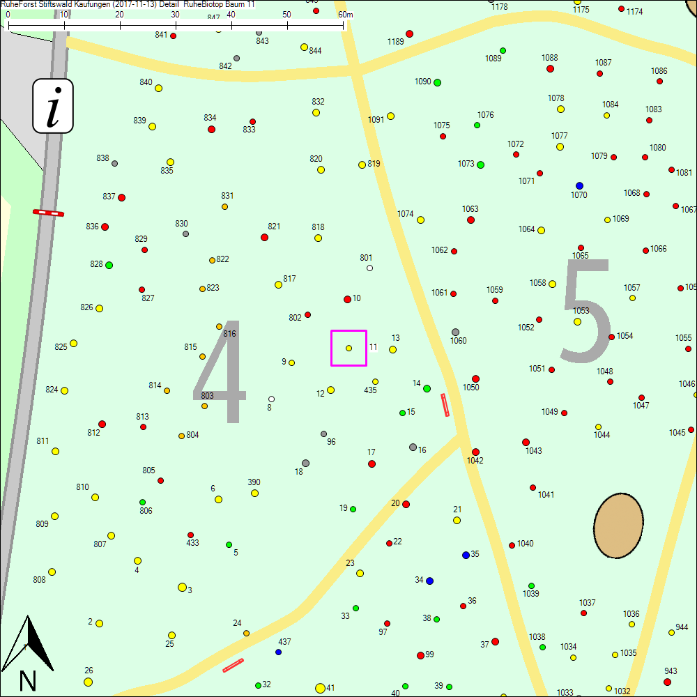 Detailkarte zu Baum 11
