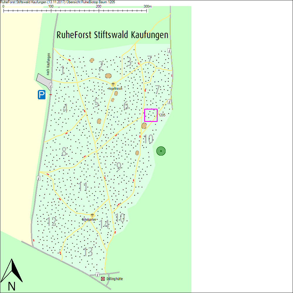 &Uuml;bersichtskarte zu Baum 1205