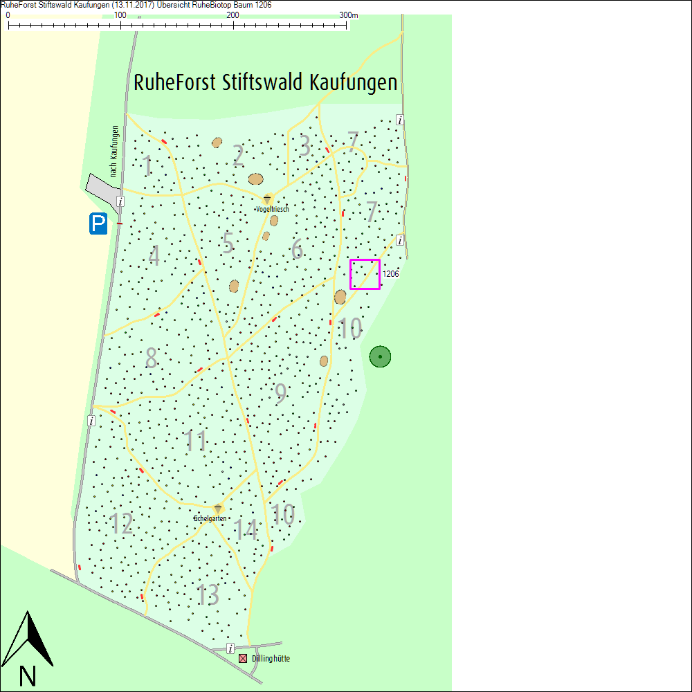 &Uuml;bersichtskarte zu Baum 1206
