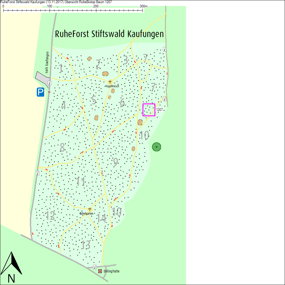 &Uuml;bersichtskarte zu Baum 1207