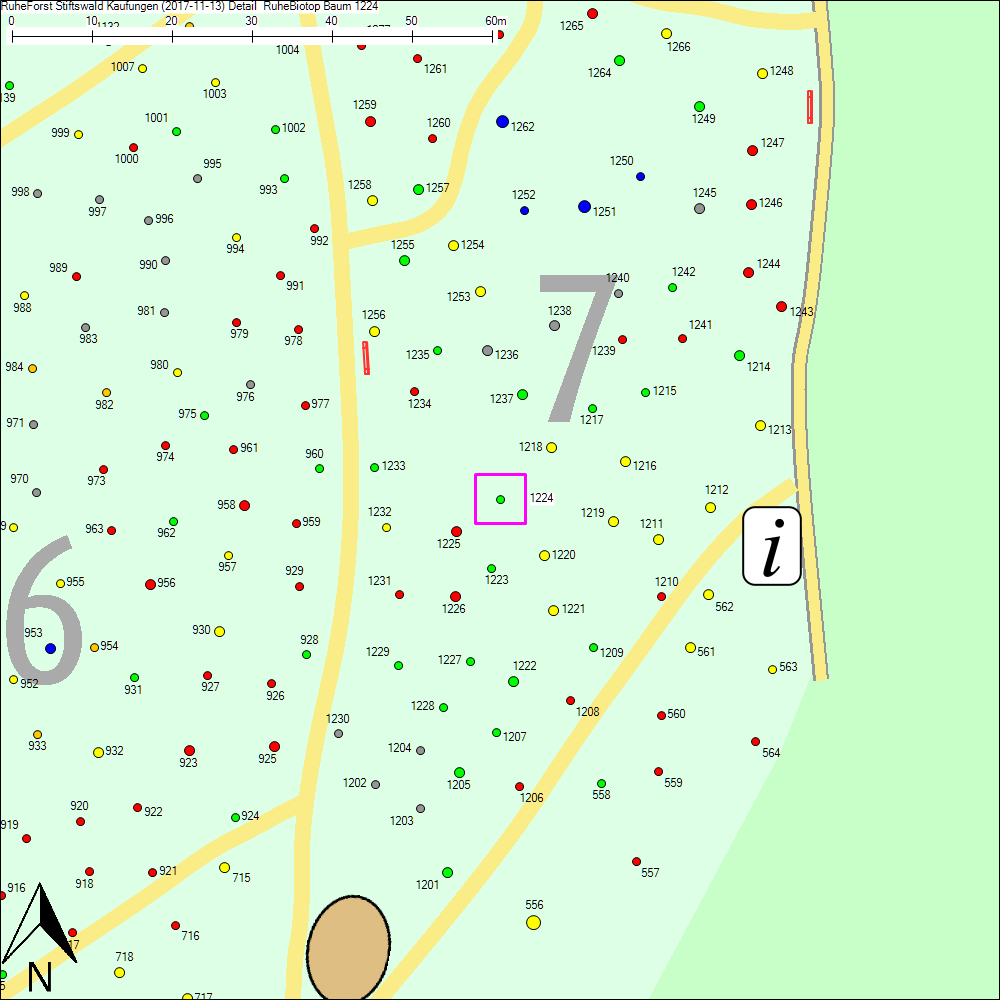 Detailkarte zu Baum 1224