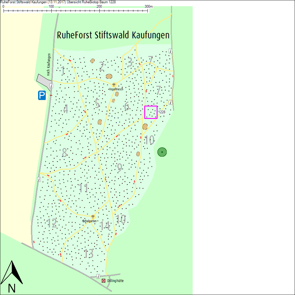 &Uuml;bersichtskarte zu Baum 1228