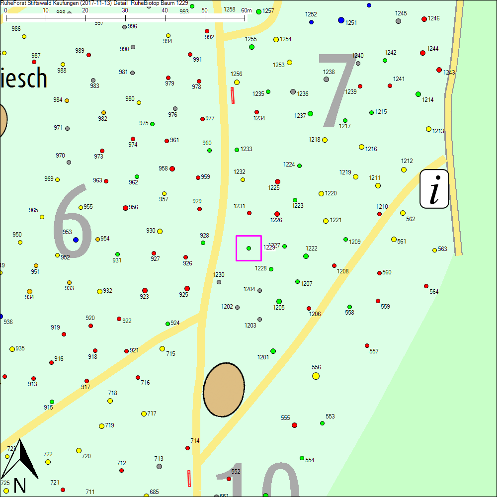 Detailkarte zu Baum 1229