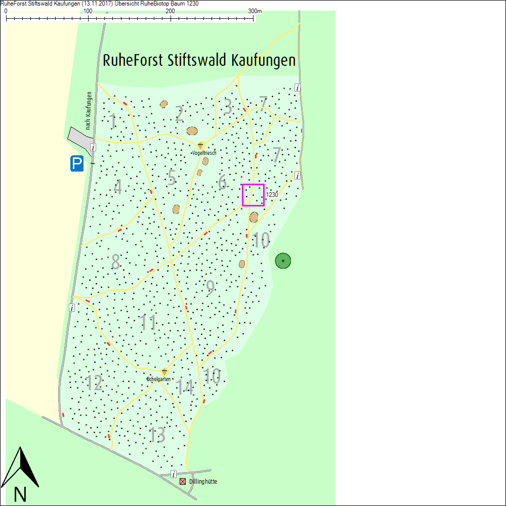 &Uuml;bersichtskarte zu Baum 1230