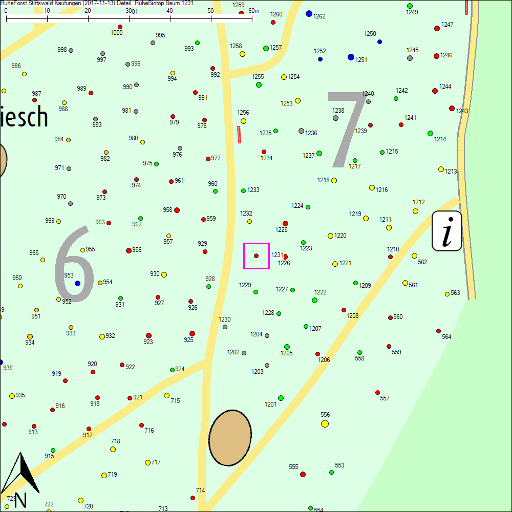 Detailkarte zu Baum 1231