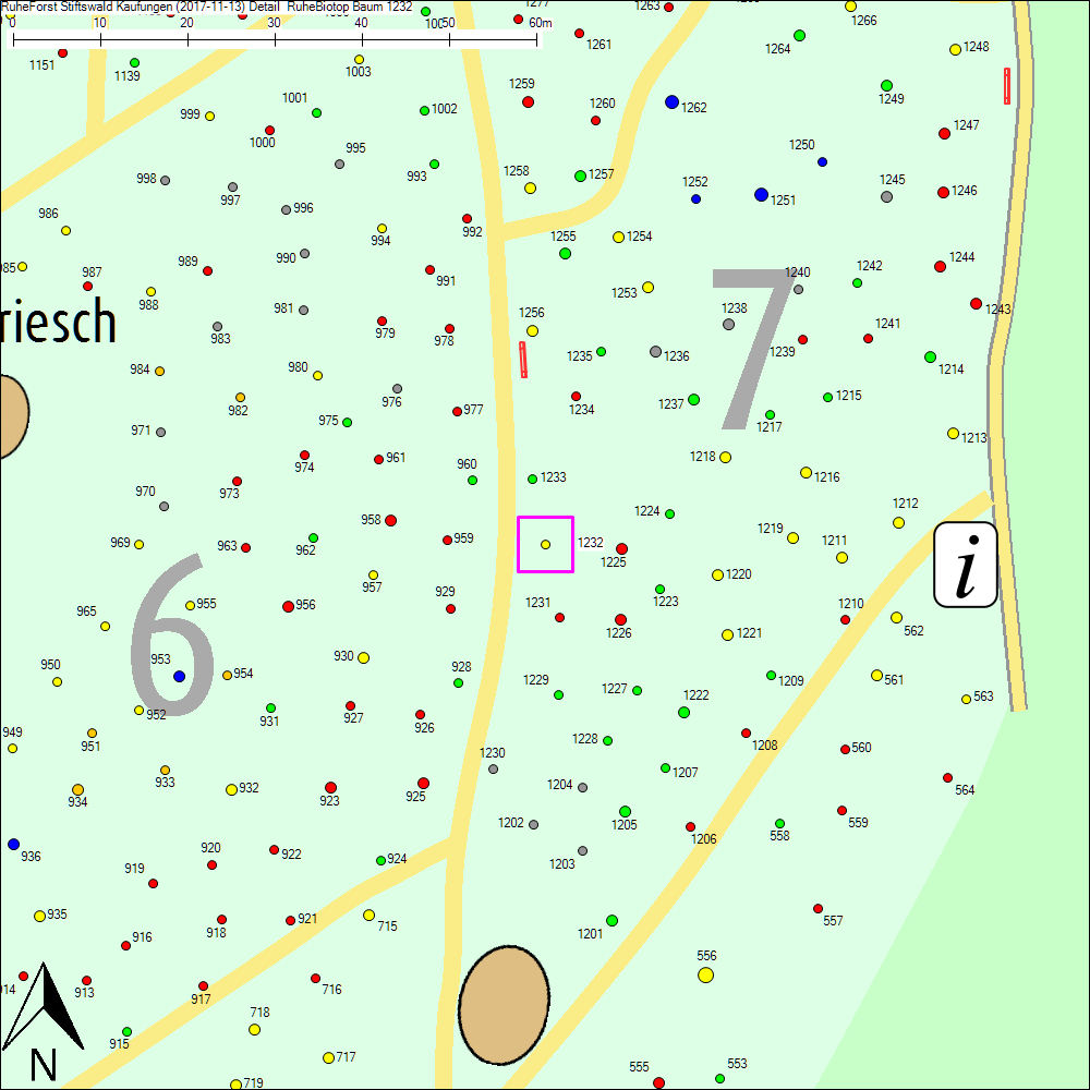 Detailkarte zu Baum 1232