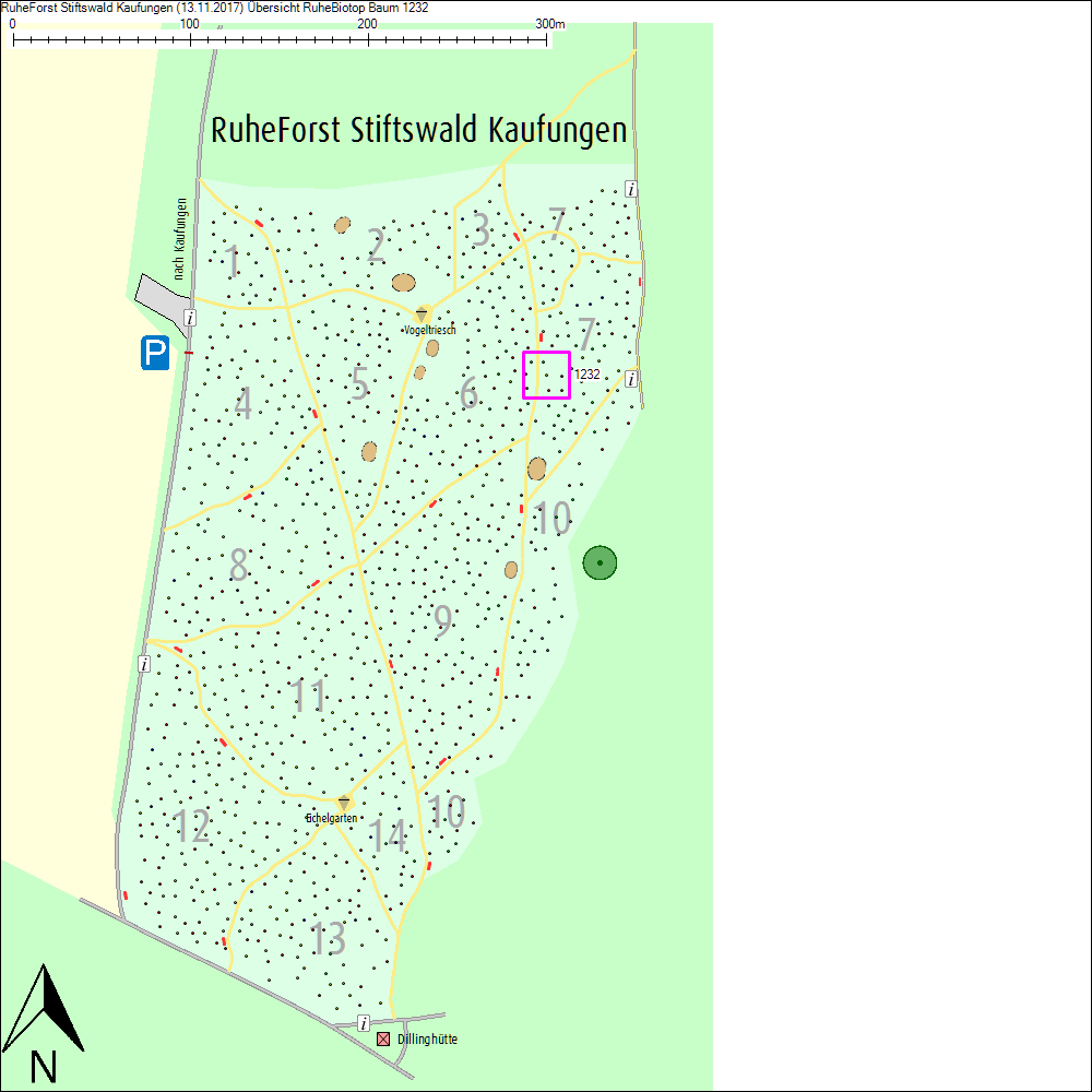 &Uuml;bersichtskarte zu Baum 1232