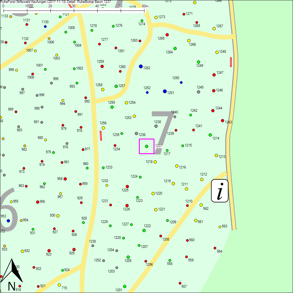 Detailkarte zu Baum 1237