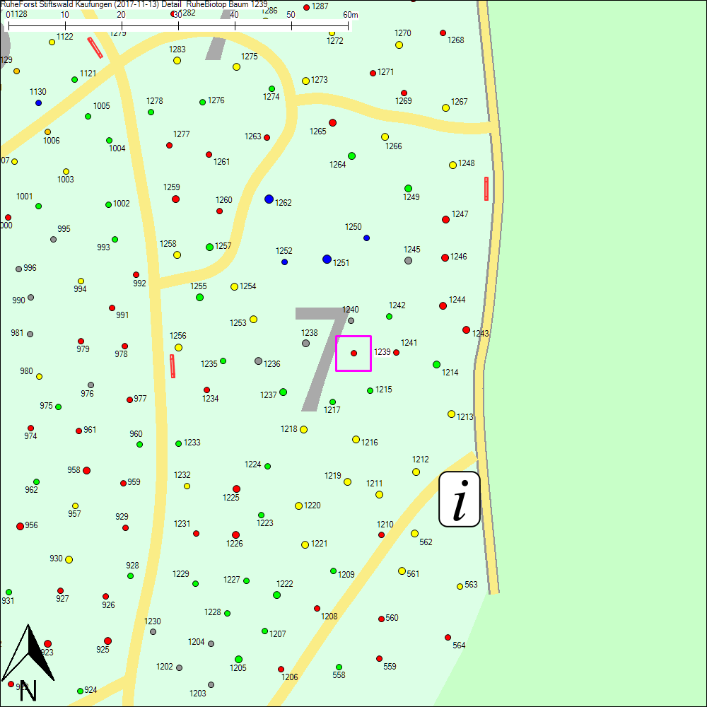 Detailkarte zu Baum 1239