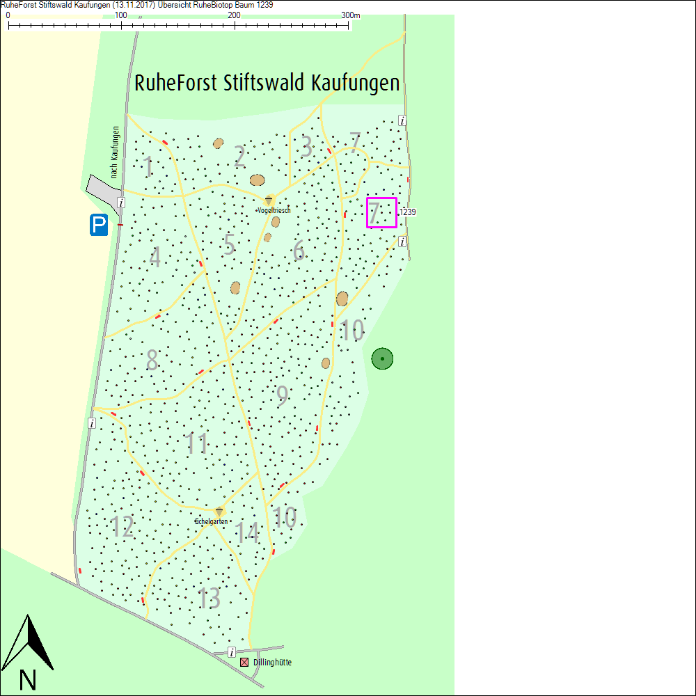 &Uuml;bersichtskarte zu Baum 1239