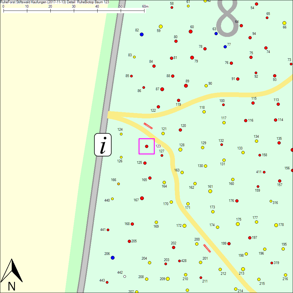 Detailkarte zu Baum 123