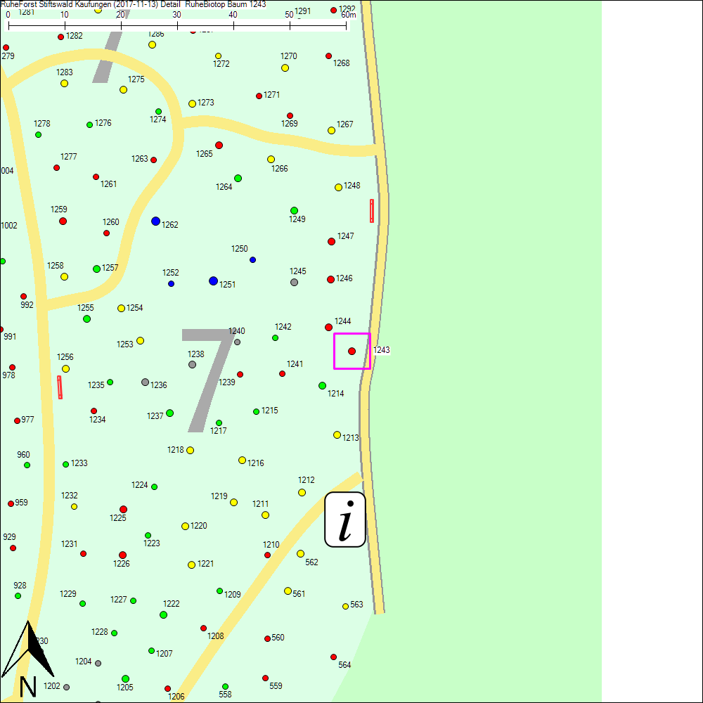 Detailkarte zu Baum 1243