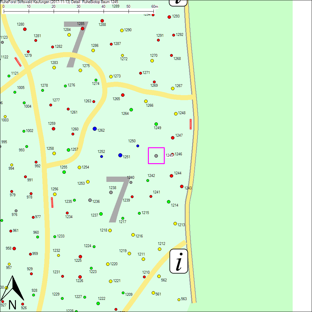 Detailkarte zu Baum 1245