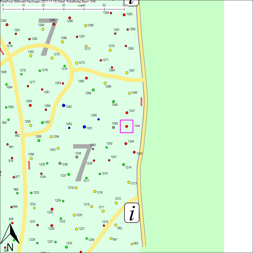 Detailkarte zu Baum 1246