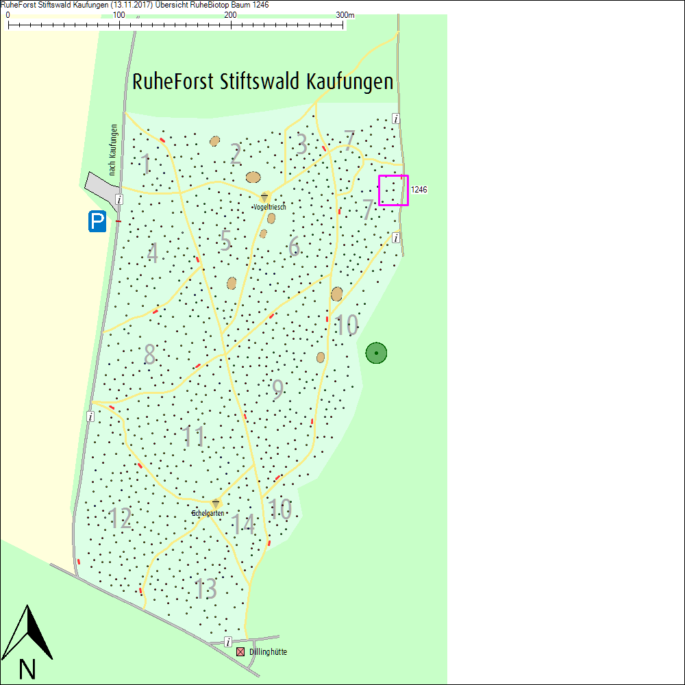 &Uuml;bersichtskarte zu Baum 1246