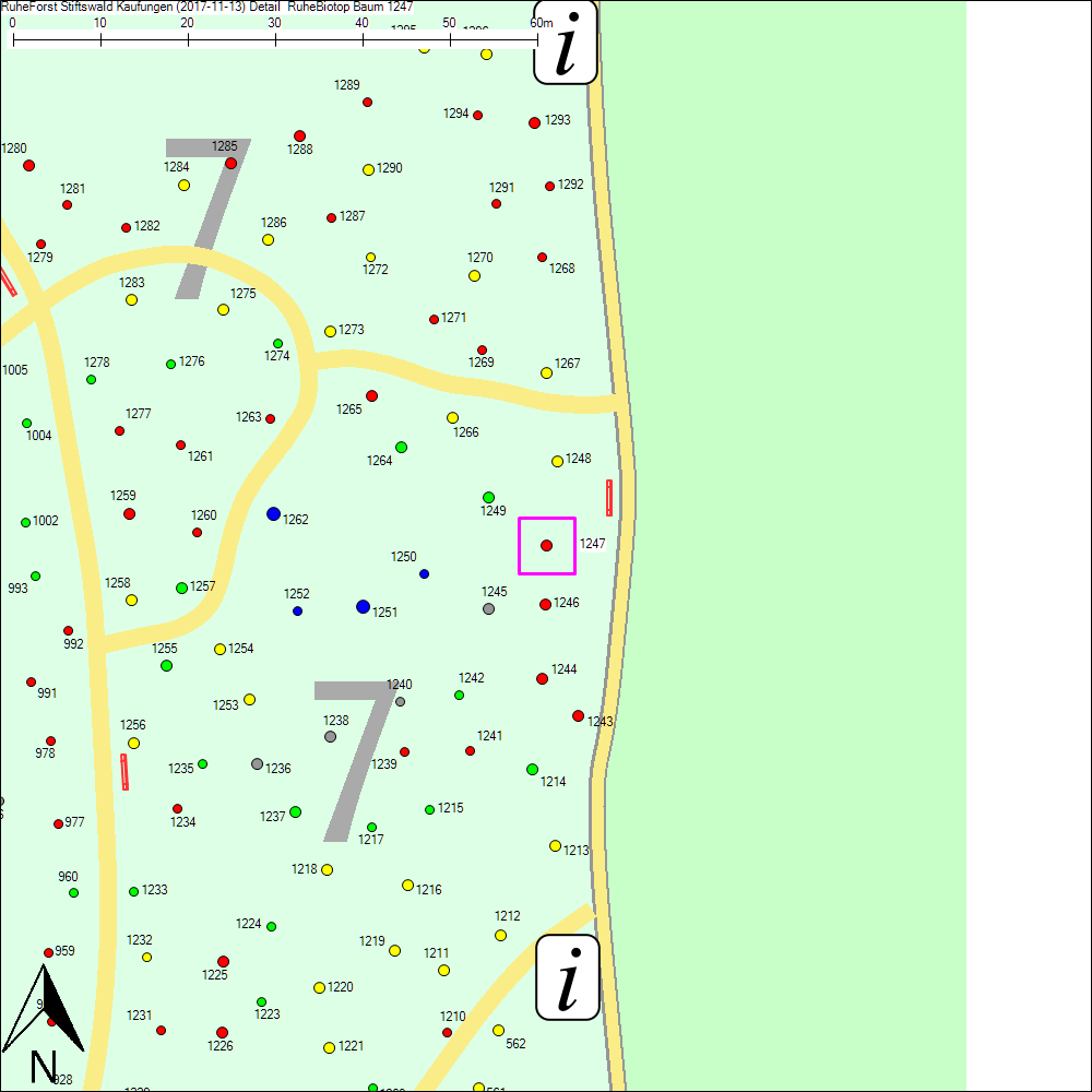 Detailkarte zu Baum 1247
