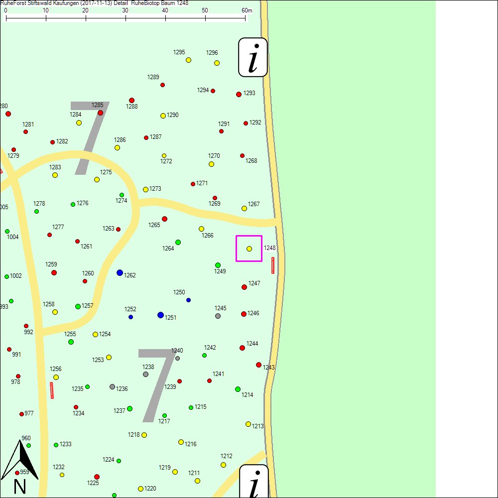 Detailkarte zu Baum 1248