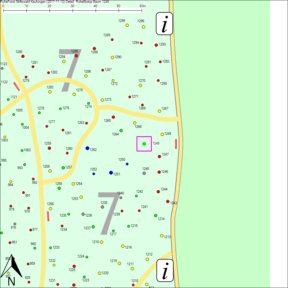 Detailkarte zu Baum 1249