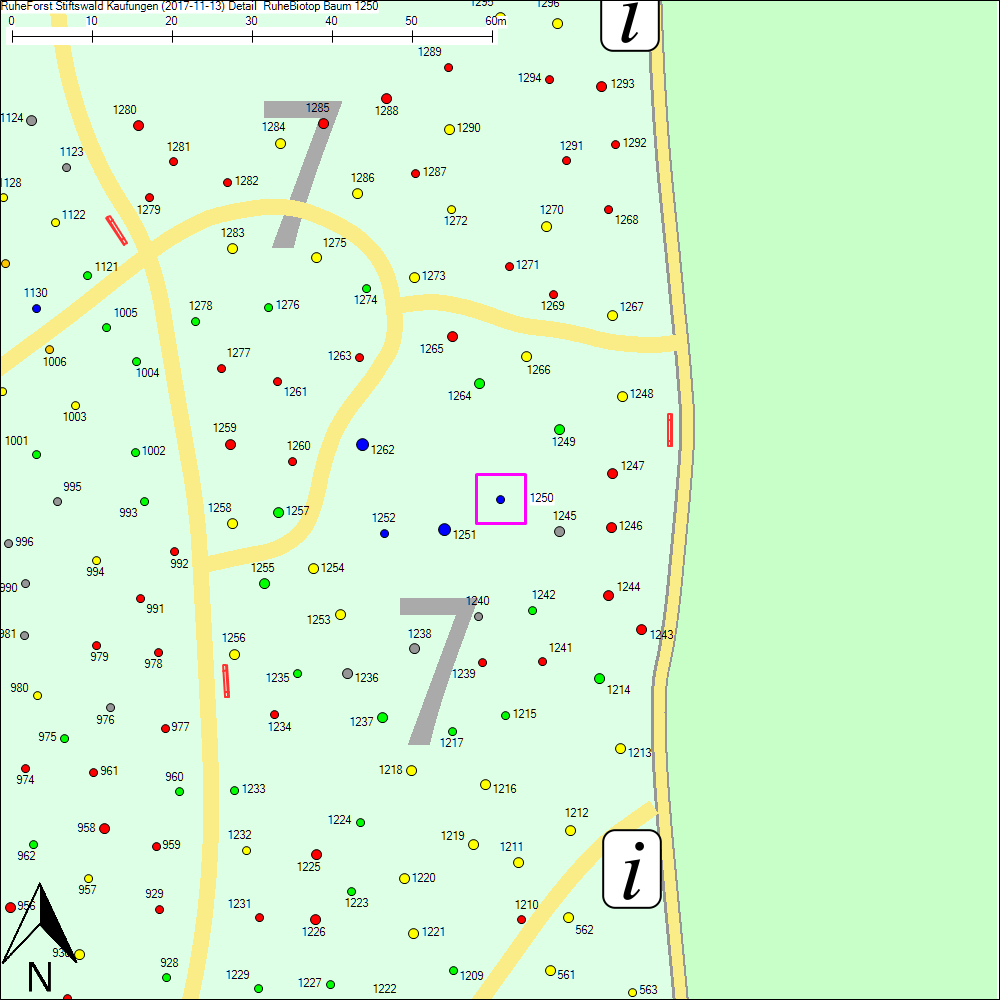 Detailkarte zu Baum 1250