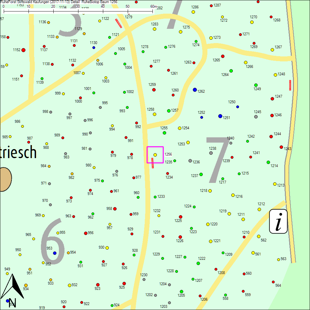 Detailkarte zu Baum 1256