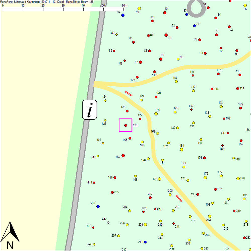 Detailkarte zu Baum 125