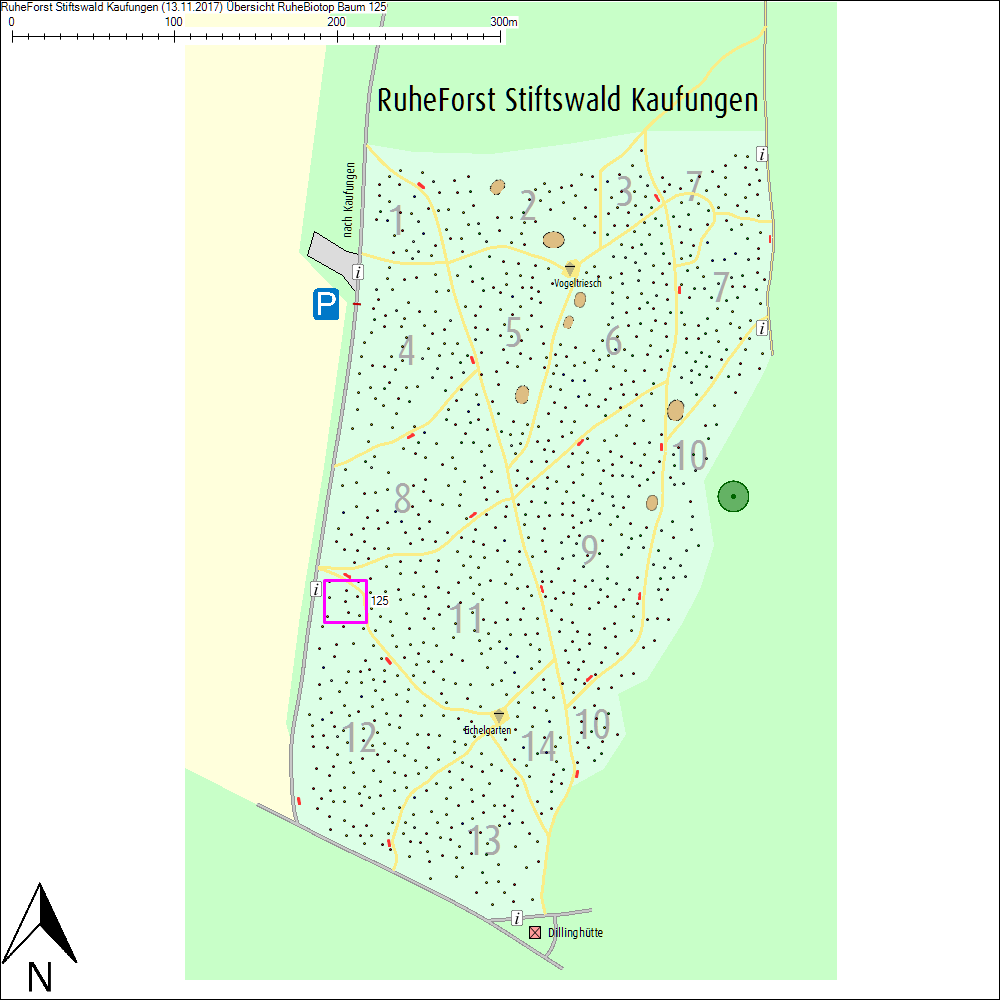 &Uuml;bersichtskarte zu Baum 125